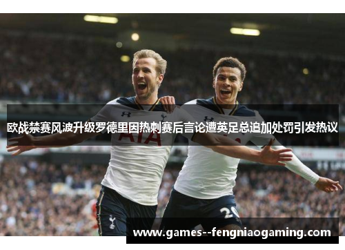 欧战禁赛风波升级罗德里因热刺赛后言论遭英足总追加处罚引发热议